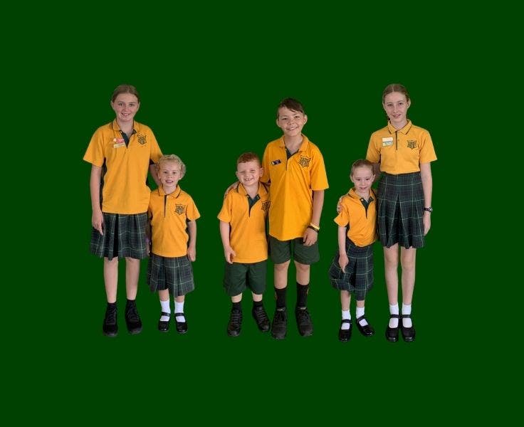 SchoolBytes - Gallery Block Template